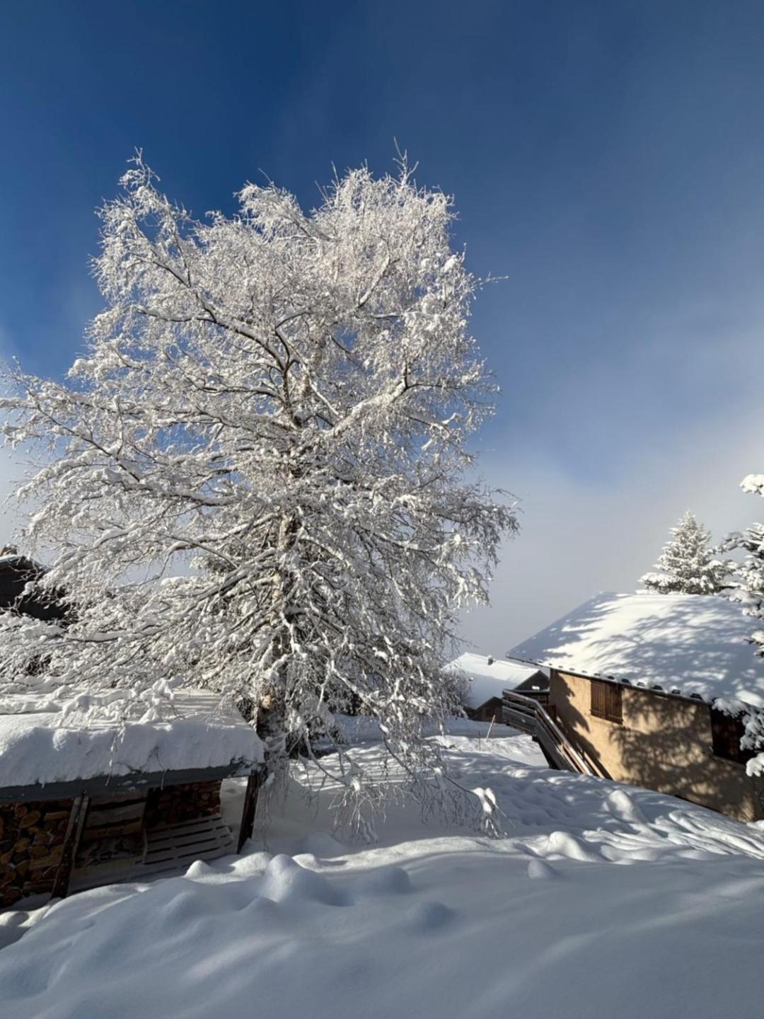 Chalet Rouge Ou Blanc Villard-Reculas 外观 照片