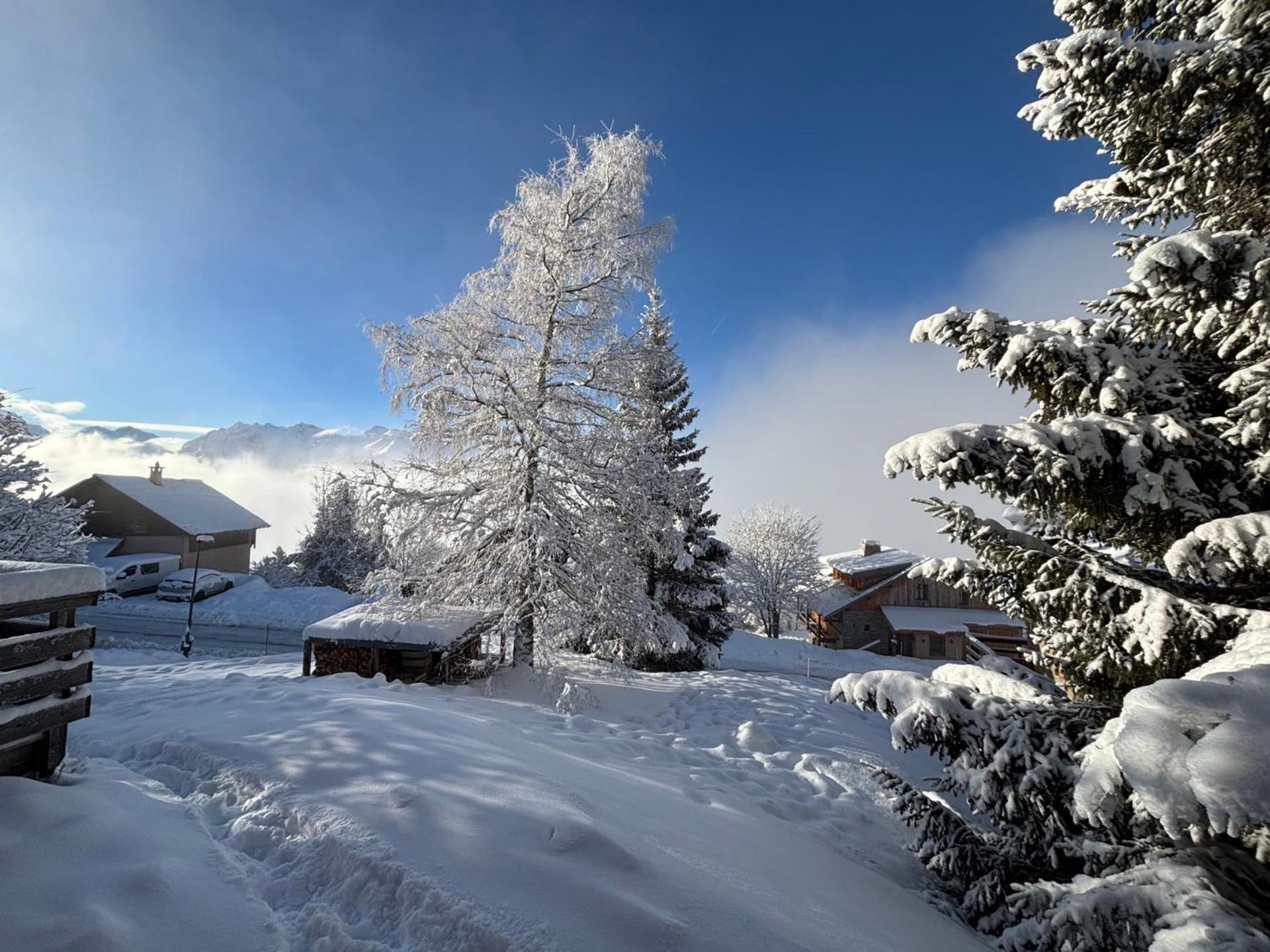 Chalet Rouge Ou Blanc Villard-Reculas 外观 照片