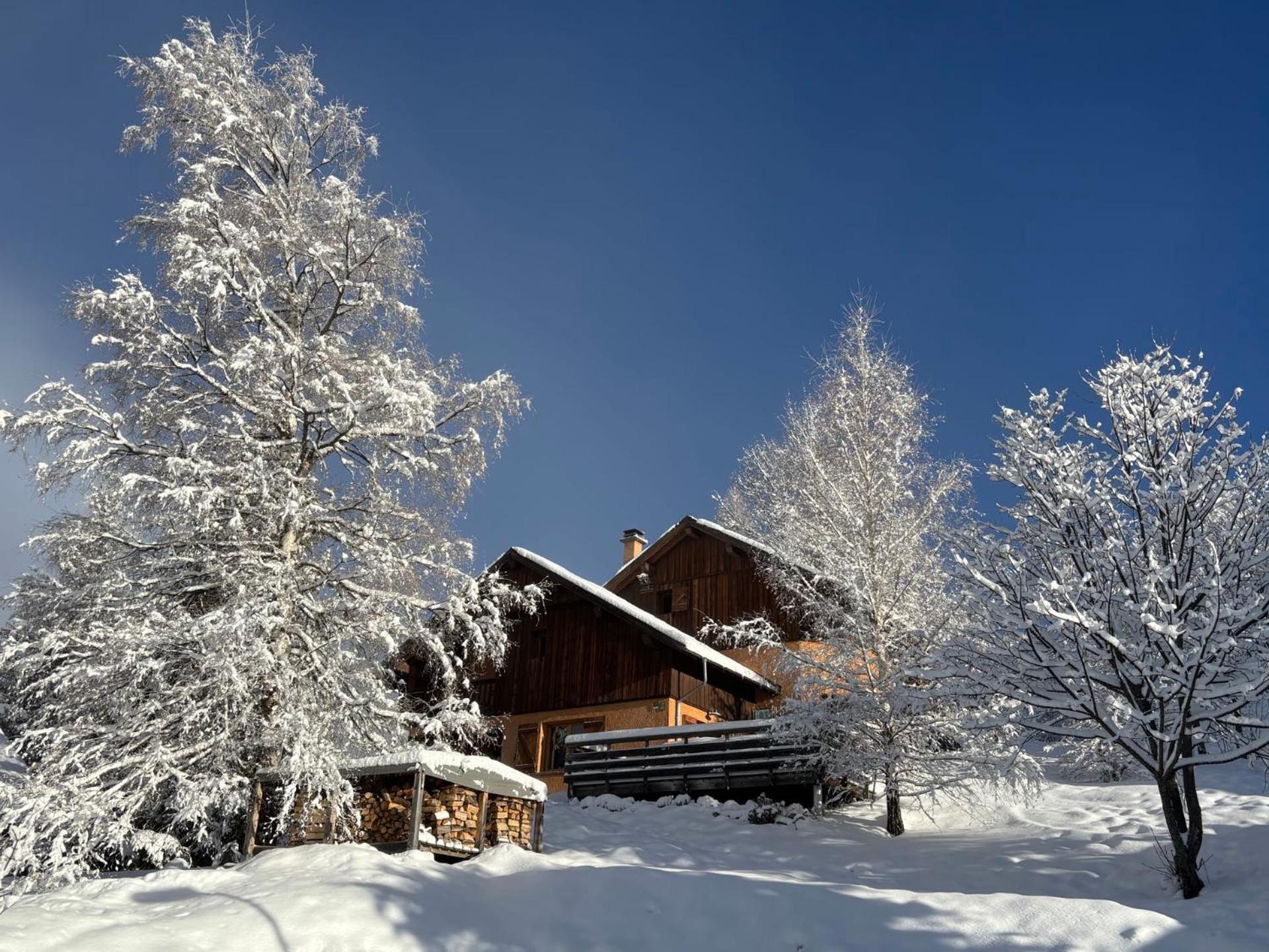 Chalet Rouge Ou Blanc Villard-Reculas 外观 照片